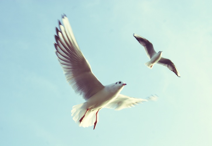 아주심리상담센터 전문 카운슬러 채용 공고